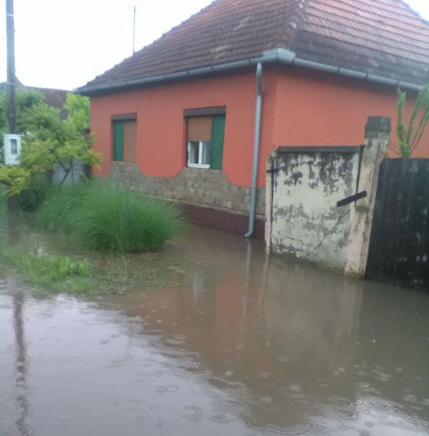 Сивац: Из поплаве испливао немар